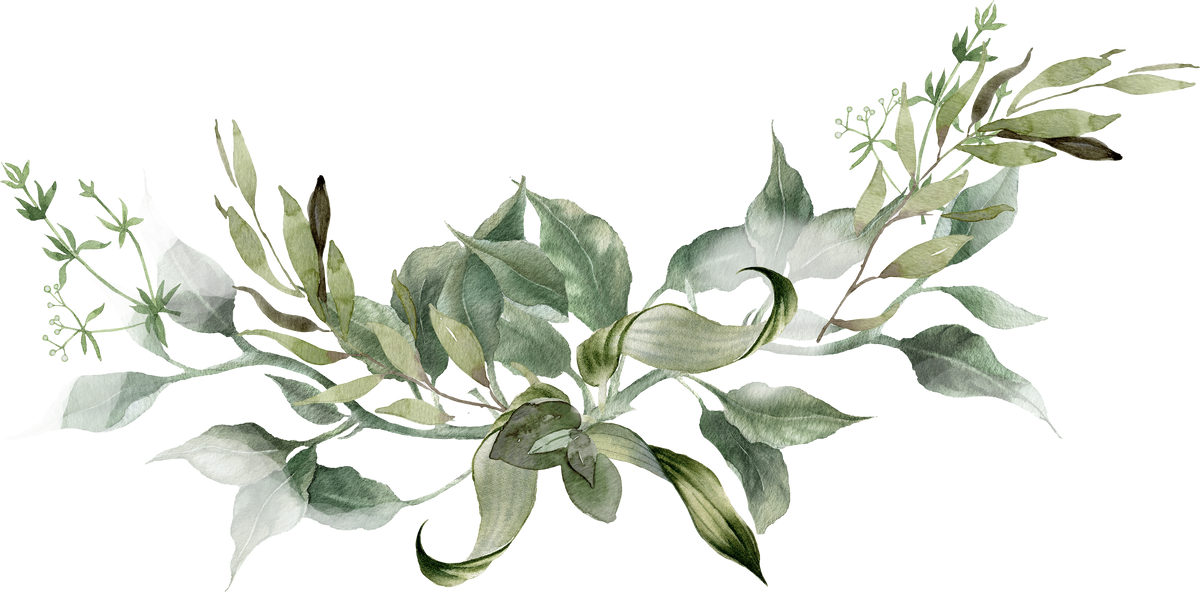 Watercolor green leaves wreath. Greenery floral illustration